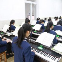學前教育專業(yè)