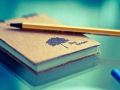 煙臺(tái)福山區(qū)技校有那些專業(yè)可以選擇？