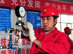山東省萊陽衛(wèi)生學(xué)校3+2大專2020年有哪些專業(yè)