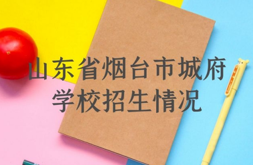 山東省煙臺市城府學(xué)校招生情況