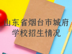 山東省煙臺(tái)市城府學(xué)校招生情況