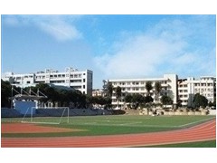 山東理工職業(yè)學院五年制大專歷年分數線
