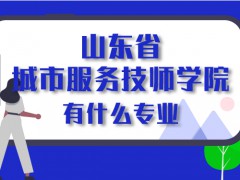 山東省城市服務技師學院有什么專業(yè)