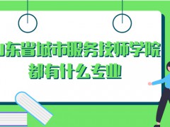 山東省城市服務技師學院都有什么專業(yè)