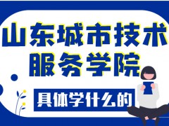 山東城市技術(shù)服務(wù)學(xué)院具體學(xué)什么的