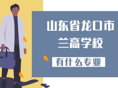 山東省龍口市蘭高學(xué)校有什么專業(yè)