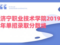 濟寧職業(yè)技術學院2019年單招錄取分數(shù)線-山東單招網(wǎng)