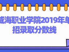 威海職業(yè)學院2019年單招錄取分數(shù)線-山東單招網(wǎng)