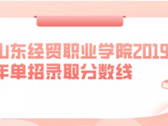 山東經(jīng)貿(mào)職業(yè)學院2019年單招錄取分數(shù)線-山東單招網(wǎng)