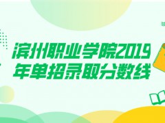 濱州職業(yè)學院2019年單招錄取分數(shù)線-山東單招網(wǎng)