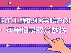 濰坊工程職業(yè)學院2019年單招錄取分數(shù)線-山東單招網(wǎng)