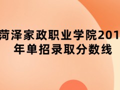 菏澤家政職業(yè)學(xué)院2019年單招錄取分?jǐn)?shù)線-山東單招網(wǎng)