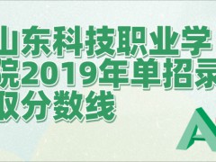 山東科技職業(yè)學(xué)院2019年單招錄取分?jǐn)?shù)線-山東單招網(wǎng)