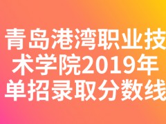 青島港灣職業(yè)技術(shù)學(xué)院2019年單招錄取分?jǐn)?shù)線-山東單招網(wǎng)