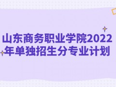 山東商務(wù)職業(yè)學(xué)院2022年單獨招生分專業(yè)計劃