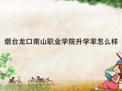 煙臺龍口南山職業(yè)學(xué)院升學(xué)率怎么樣